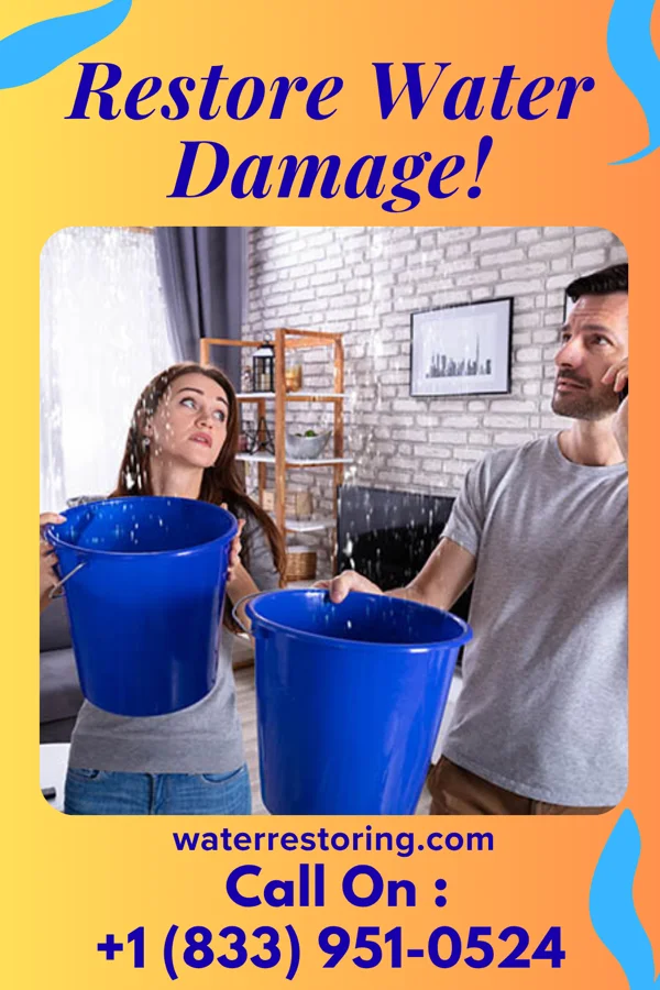 water restoration Prestige Flood Experts Dillsboro