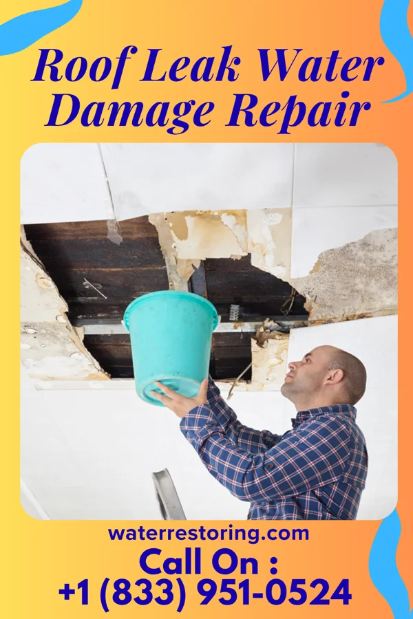 Roof Leak Water Damage Repair in Dillsboro, NC