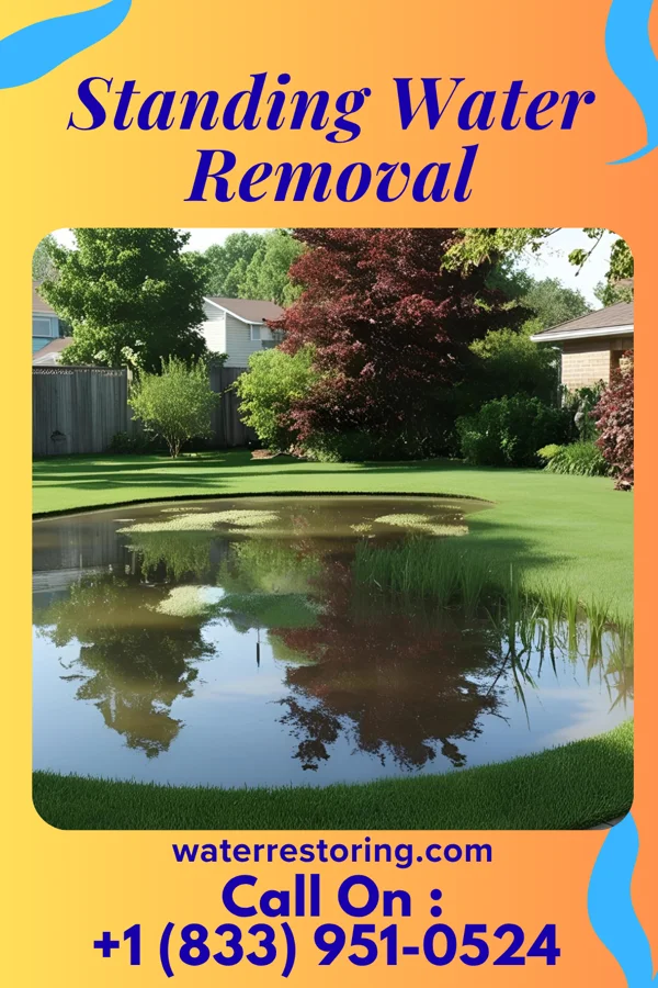 Standing Water Removal in Dillsboro, NC